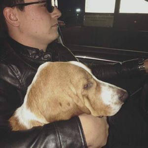 Meet your Posher, Dylan